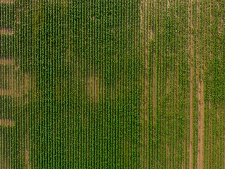 organic agricultural supplies