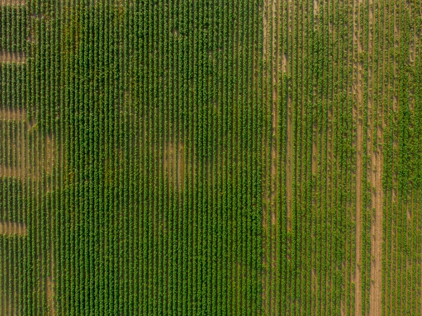 organic agricultural supplies