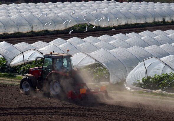 greenhouse equipment