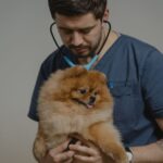 clínica veterinaria reserva