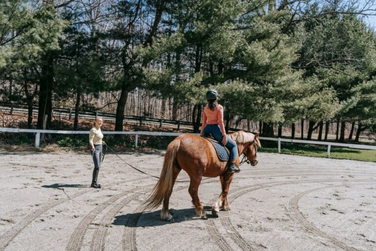 horse riding lessons